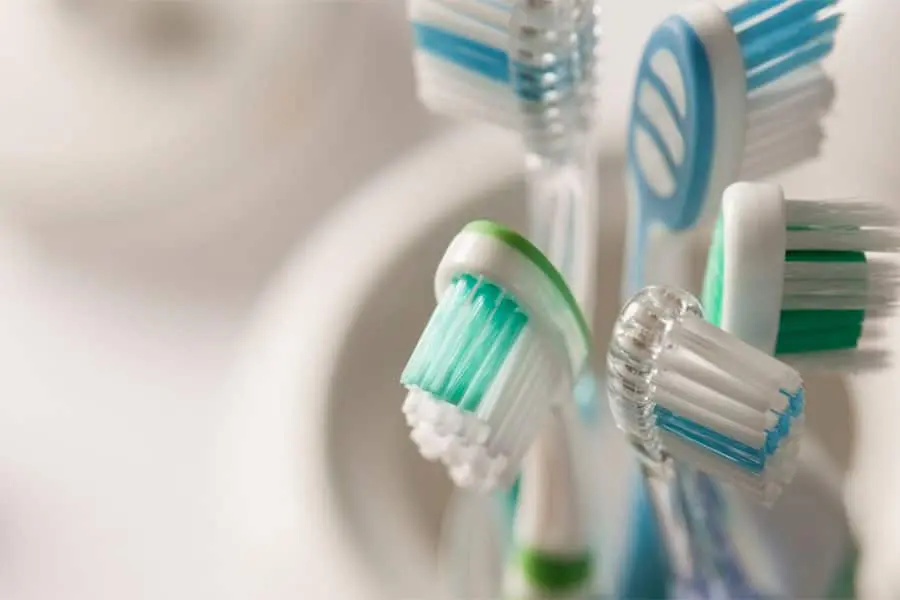 how-often-should-i-clean-my-toothbrush-holder